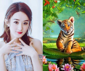 Tử vi tuổi Dần tháng 10/2024: Thận trọng nếu không sẽ lao đao vì thị phi hoặc kiện tụng