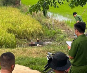 Đi thăm ruộng, hai người phụ nữ bị điện giật tử vong