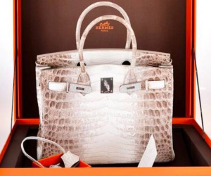 2 chiếc túi Hermes bạch tạng bà Trương Mỹ Lan xin lại vì 'giá không có bao nhiêu': Hàng cực hiếm được 'thèm muốn' nhất thế giới, lập kỷ lục đấu giá 7 tỷ đồng/chiếc