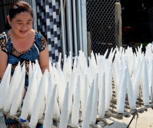 Là 'biểu tượng của sự giàu có', Trung Quốc chi 525 tỷ mua bong bóng cá Việt Nam