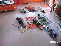 Cô giáo mầm non hốt hoảng khi rắn hổ mang bò vào lớp khi học sinh đang ngủ trưa