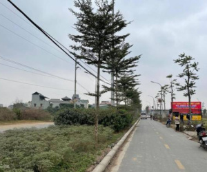 Hà Nội: Đấu giá 54 thửa đất tại huyện ngoại thành với giá khởi điểm hơn 12 triệu/m2