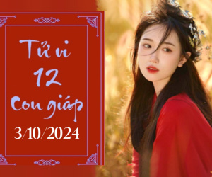 Tử vi thứ 5 ngày 3/10/2024 của 12 con giáp: Tý nóng nảy, Sửu sáng suốt