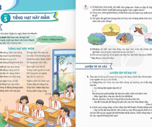 Bài thơ 'Tiếng hạt nảy mầm' hoàn toàn vừa sức với học sinh lớp 5