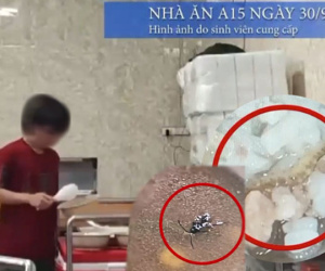 Vụ sinh viên Bách khoa phải ăn cơm canh thừa: Bếp ăn thừa nhận có gián chui vào máy thái thịt, đại diện nhà trường nói 'không thể chấp nhận'