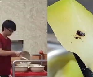 Vụ cơm của tân sinh viên có gián: Đơn vị cung cấp suất ăn không liên quan với trường Bách khoa?
