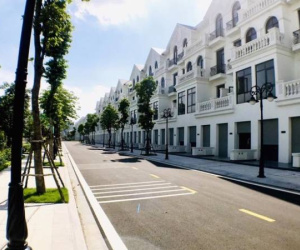 Dòng tiền đang đổ mạnh vào phân khúc biệt thự, nhà liền kề