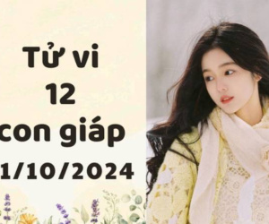 Tử vi thứ 6 ngày 11/10/2024 của 12 con giáp: Tý lắm lộc, Dần xung đột