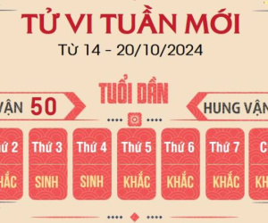 Tử vi tuần mới của 12 con giáp từ 14 - 20/10/2024: Dần kiêu ngạo, Dậu thăng tiến