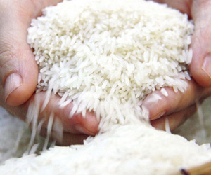 Sản lượng lớn thứ 4 thế giới, ‘xứ sở vạn đảo’ vẫn mua triệu tấn gạo Việt Nam
