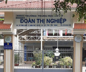 Hiệu trưởng trường THCS Đoàn Thị Nghiệp tử vong sau khi bị một con ong đốt