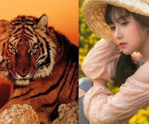 Vận mệnh người tuổi Dần theo giờ sinh: Ai có cát tinh chiếu mệnh, cuộc đời hanh thông?