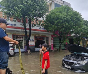 Mưa như trút ở Quảng Nam, ô tô 'chết đuối' giữa biển nước