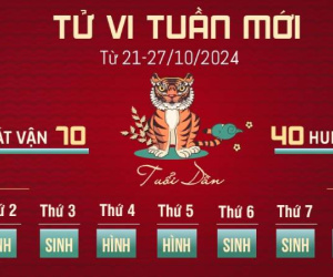 Tử vi tuần mới của 12 con giáp từ 21 - 27/10/2024: Dần may mắn, Mão thuận lợi