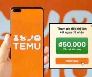 Temu chi hoa hồng 30% hút người Việt tham gia tiếp thị liên kết, chuyên gia nói không 'dễ ăn'