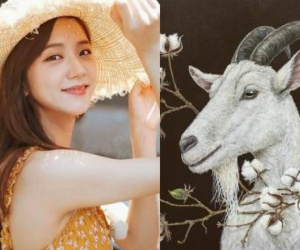 Vận mệnh người tuổi Mùi theo giờ sinh: Liệu thành công có đến với bạn?