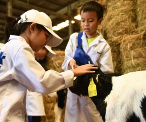 Học sinh thích thú khám phá trang trại, nhà máy 'xanh' sản xuất ra hộp sữa Vinamilk