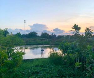 Hối hận bán 2 mảnh đất quê vẫn loay hoay chưa mua được chung cư Hà Nội