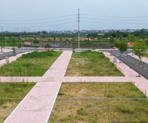 'Bốc thuốc' trị bệnh trả giá đất rất cao rồi bỏ cọc