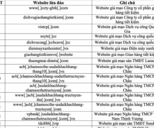 Danh sách website giả mạo ngân hàng, sàn TMĐT, cổng dịch vụ công người dân tuyệt đối không được truy cập