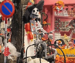 Dân tình tìm ra bạn Lan trong bài toán đạp xe 'huyền thoại' ngay thời điểm mùa Halloween