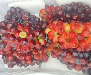 Thêm nho ‘trái tim mùa thu' từ Trung Quốc đổ bộ chợ Việt bán với giá rẻ