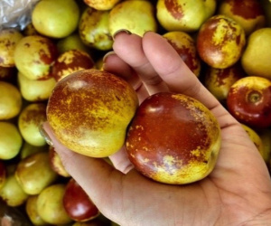 Hoa quả nhập Trung Quốc: ‘Không nên tin những đồn đoán thất thiệt’