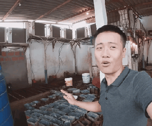 Hé lộ công việc của Quang Linh Vlogs khi còn ở 'lò luyện team châu Phi' và cách anh chống chọi với cái nóng 45°C của Angola