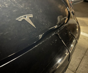 Hệ thống tự lái không phát hiện kịp, xe Tesla đâm trúng hươu trên đường