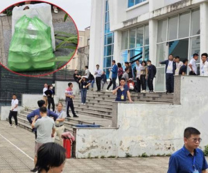 Mang cơm hộp, bánh mì 'tiếp tế' đấu giá đất huyện vùng ven Hà Nội