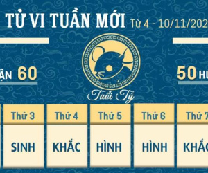 Tử vi tuần mới của 12 con giáp từ 4 - 10/11/2024: Tý vươn lên, Sửu chủ quan