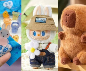 Người Việt chi tới 4,6 tỷ đồng mua 'túi mù' trên TikTok Shop, Shopee…; kẹp hoa sứ, Labubu, Capybara cũng không kém cạnh