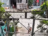 Trẻ đang tâp đi bỗng thoát ra khỏi cổng chạy ra đường lớn và hành động của người hàng xóm đối diện khiến tất cả đều phẫn nộ