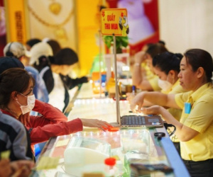 Giá vàng hôm nay 10/11/2024: Chốt tuần sụt giảm ngoài sức tưởng tượng