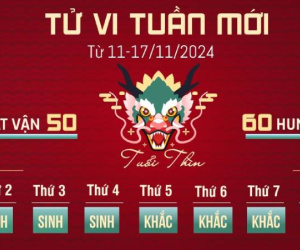 Tử vi tuần mới của 12 con giáp 11-17/11/2024: Thìn lo nghĩ, Tuất gặp may
