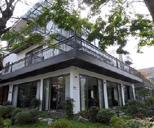 Cụ bà 80 tuổi sống 1 mình 1 biệt thự 500m2 ở Hà Nội, 6 người con 6 căn bên cạnh
