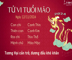 Tử vi thứ 3 ngày 12/11/2024 của 12 con giáp: Mão căng thẳng, Hợi vượng phát