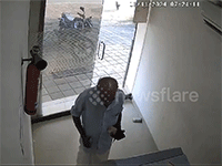 Khách rút tiền hốt hoảng khi lợn rừng tấn công vào cây ATM