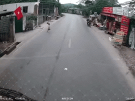 Bé trai bất ngờ chạy sang đường khi xe tải đang lao tới, nhiều người thót tim: 'Tài xế phản ứng quá nhanh'