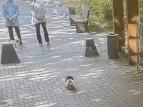 Người đàn ông chỉ lướt qua đã khiến bà cụ mất mạng, camera ghi lại thời khắc không ai ngờ tới