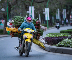 Ảnh bìa bài viết 965766