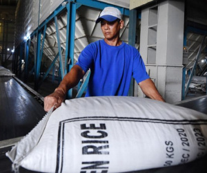 Xuất khẩu vượt 5 tỷ USD, vẫn đau đáu chưa có thương hiệu gạo Việt chất lượng cao