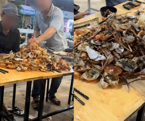 Xôn xao clip 4 vị khách ăn 'núi' hải sản ở quán buffet 159k: Chủ quán nói gì?