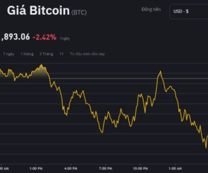 Bitcoin và Altcoin cùng 'cắm đầu', sóng tăng của tiền số đã kết thúc?