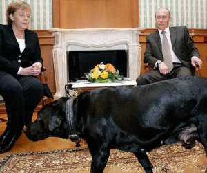 'Angela, hãy tha thứ cho tôi': Đây là lý do ông Putin công khai xin lỗi cựu Thủ tướng Đức Merkel