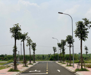 Xuất hiện lô đất đấu giá ở Hà Nội được trả tới 30 tỷ đồng/m2