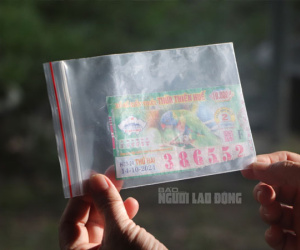 Nhiều luật sư ở TP HCM, Đà Nẵng muốn giúp miễn phí cho người trúng số 2 tỉ không được trả thưởng