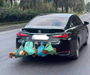 Bức ảnh chụp phía sau Lexus bạc tỷ ở Hà Nội khiến nhiều người bật cười, còn tôi lại nghẹn ngào rưng rưng