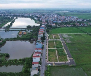 Công an xác minh khách hàng đồng loạt bỏ cuộc khi đấu giá 22 thửa đất