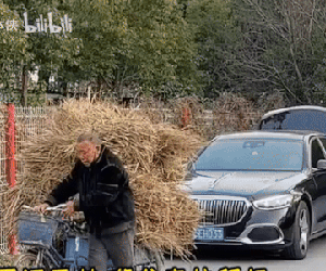 Lái maybach về quê thăm bố, con trai dở khóc dở cười khi phụ huynh yêu cầu: Mang xe ra đồng nhờ tí việc